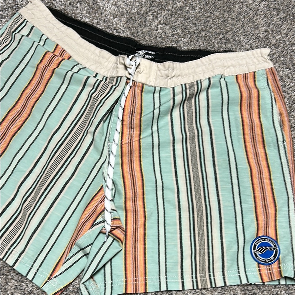 Dewey Beach Surf Shop Striped Men's Shorts in Green and Orange